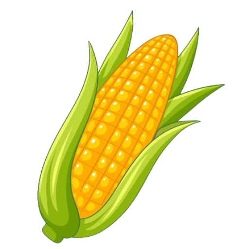 CORNBEAN LLC